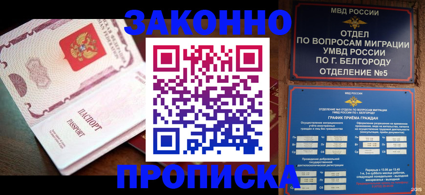 временная регистрация для школы в Судогде